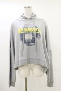Candy Stripper / DRAMATIC HOODIE 2 グレー H-25-05-18-042-PU-TO-KB-ZH