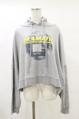 Candy Stripper / DRAMATIC HOODIE 2 グレー H-25-05-18-042-PU-TO-KB-ZH