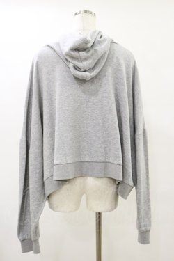 画像2: Candy Stripper / DRAMATIC HOODIE 2 グレー H-25-05-18-042-PU-TO-KB-ZH