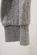 画像3: Candy Stripper / DRAMATIC HOODIE 2 グレー H-25-05-18-042-PU-TO-KB-ZH (3)
