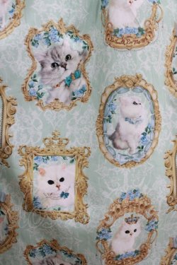 画像4: Enchantlic Enchantilly / 猫の女王の肖像画スカート Free ミント H-25-05-20-016-LO-SK-NS-ZH