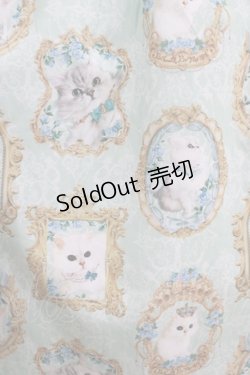 画像4: Enchantlic Enchantilly / 猫の女王の肖像画スカート Free ミント H-25-05-20-016-LO-SK-NS-ZH