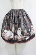 Enchantlic Enchantilly / Queen Cat〜秘密の書斎〜スカート Free ブラック H-25-05-20-020-LO-SK-NS-ZH