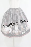 Enchantlic Enchantilly / Queen Cat〜秘密の書斎〜スカート Free ブラック H-25-05-20-020-LO-SK-NS-ZH
