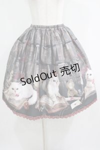 Enchantlic Enchantilly / Queen Cat〜秘密の書斎〜スカート Free ブラック H-25-05-20-020-LO-SK-NS-ZH