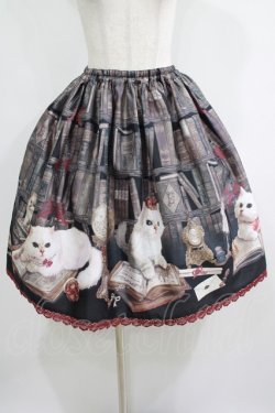 画像1: Enchantlic Enchantilly / Queen Cat〜秘密の書斎〜スカート Free ブラック H-25-05-20-020-LO-SK-NS-ZH