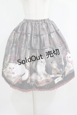 画像1: Enchantlic Enchantilly / Queen Cat〜秘密の書斎〜スカート Free ブラック H-25-05-20-020-LO-SK-NS-ZH