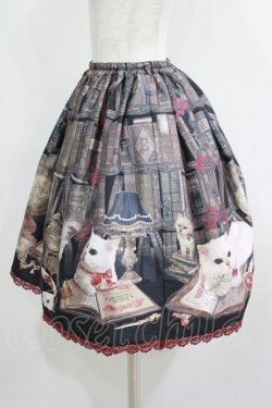 画像2: Enchantlic Enchantilly / Queen Cat〜秘密の書斎〜スカート Free ブラック H-25-05-20-020-LO-SK-NS-ZH