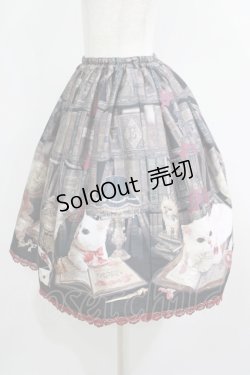 画像2: Enchantlic Enchantilly / Queen Cat〜秘密の書斎〜スカート Free ブラック H-25-05-20-020-LO-SK-NS-ZH