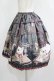 画像2: Enchantlic Enchantilly / Queen Cat〜秘密の書斎〜スカート Free ブラック H-25-05-20-020-LO-SK-NS-ZH (2)