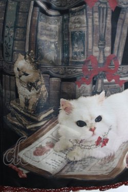 画像4: Enchantlic Enchantilly / Queen Cat〜秘密の書斎〜スカート Free ブラック H-25-05-20-020-LO-SK-NS-ZH
