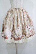 Enchantlic Enchantilly / Queen Cat〜秘密の書斎〜スカート Free アイボリー H-25-05-20-022-LO-SK-NS-ZH