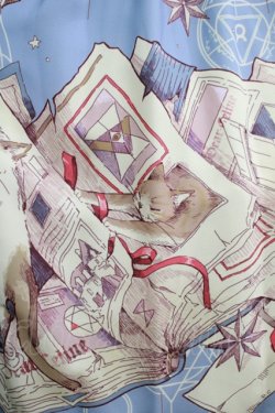 画像4: Dear Celine / Catワンピース S サックス H-25-05-20-003-LO-OP-NS-ZH