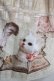 画像4: Enchantlic Enchantilly / Queen Cat〜秘密の書斎〜ジャンパースカート 大きいサイズ アイボリー H-25-05-20-014-LO-OP-NS-ZH (4)