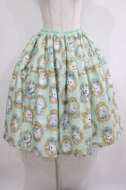 画像1: Enchantlic Enchantilly / 猫の女王の肖像画スカート Free ミント H-25-05-20-016-LO-SK-NS-ZH