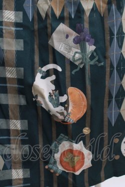 画像4: Forest Wardrobe（海外ロリータブランド） / Bouquet Plaid Strap Skirt XL グリーン H-25-05-21-022-GO-SK-NS-ZH