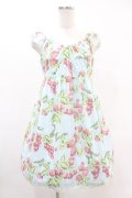 MILK / CHERRY gardenベビードール  サックスベース H-25-05-22-1036-ML-OP-KB-ZH