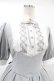 画像4: ATELIER PIERROT / Haunted Doll Dress  グレー×ホワイト H-25-05-22-1016-EL-OP-KB-ZH (4)