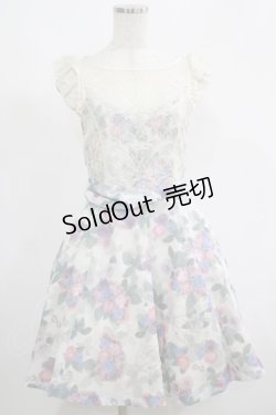 画像1: elements,H / マスケラローズレース切替ワンピース  オフ H-25-05-22-013-PU-OP-KB-ZH