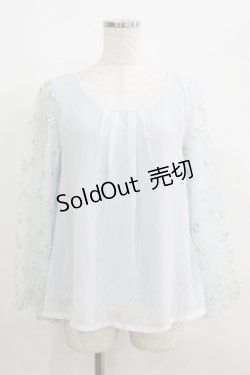 画像1: axes femme / 袖チュール刺繍シフォントップス M サックス H-25-05-27-053-AX-TO-NS-ZH