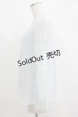 画像2: axes femme / 袖チュール刺繍シフォントップス M サックス H-25-05-27-053-AX-TO-NS-ZH