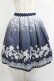 画像1: axes femme POETIQUE / 雪の結晶スカート M ブルー H-25-05-27-017-AX-SK-NS-ZH (1)