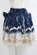 画像1: axes femme POETIQUE / スウィートスワンスカート M ネイビー H-25-05-27-019-AX-SK-NS-ZH (1)