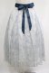 画像1: axes femme / 線画花柄レイヤードスカート M サックス H-25-05-28-023-AX-SK-NS-ZH (1)