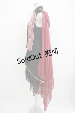画像2: ALICE and the PIRATES / Magical Goat Skull Princeロングベスト Free エンジ H-25-05-29-033-PA-JA-NS-ZH