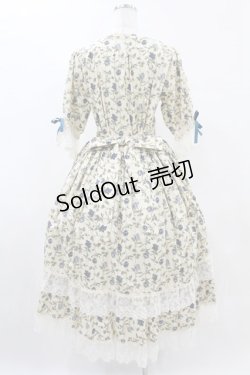 画像2: Physical Drop / フロントレースローズワンピース FREE アイボリー H-25-06-03-1017-LO-OP-NS-ZH