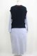画像3: Jane Marple Dans Le Salon / Tilden vest and stripe trompe-l'oeil dress  ネイビー×ブルー H-25-06-04-001-JM-OP-KB-ZH (3)