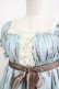 画像5: ALICE and the PIRATES / Victorian tear bottle柄ワンピース Free サックス H-25-06-06-009-PA-OP-NS-ZH