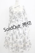 Victorian maiden / アンティークロココブーケクラシカルドールロングドレス Free モノトーン H-25-06-06-012-CL-OP-NS-ZH