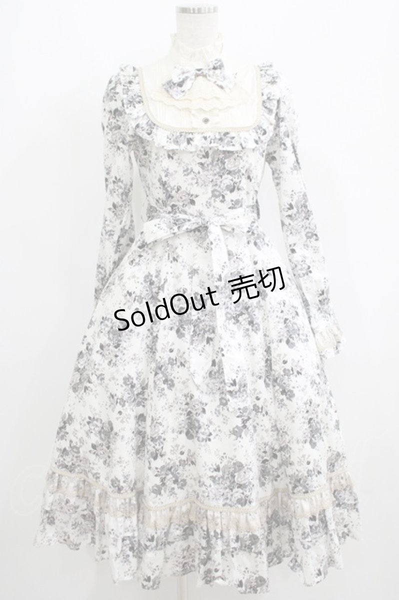 画像1: Victorian maiden / アンティークロココブーケクラシカルドールロングドレス Free モノトーン H-25-06-06-012-CL-OP-NS-ZH (1)