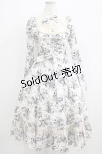 Victorian maiden / アンティークロココブーケクラシカルドールロングドレス Free モノトーン H-25-06-06-012-CL-OP-NS-ZH