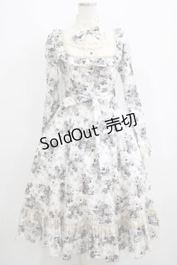 画像1: Victorian maiden / アンティークロココブーケクラシカルドールロングドレス Free モノトーン H-25-06-06-012-CL-OP-NS-ZH