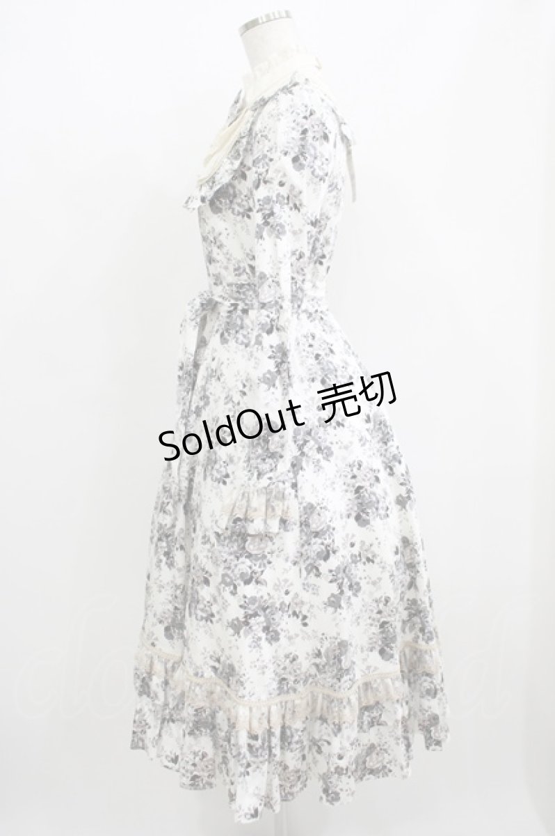 画像2: Victorian maiden / アンティークロココブーケクラシカルドールロングドレス Free モノトーン H-25-06-06-012-CL-OP-NS-ZH (2)