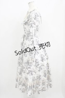 画像2: Victorian maiden / アンティークロココブーケクラシカルドールロングドレス Free モノトーン H-25-06-06-012-CL-OP-NS-ZH