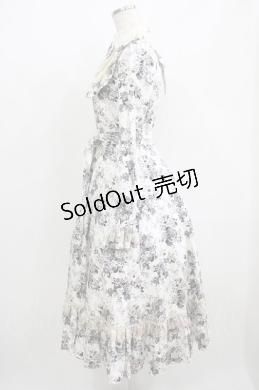 画像2: Victorian maiden / アンティークロココブーケクラシカルドールロングドレス Free モノトーン H-25-06-06-012-CL-OP-NS-ZH (2)
