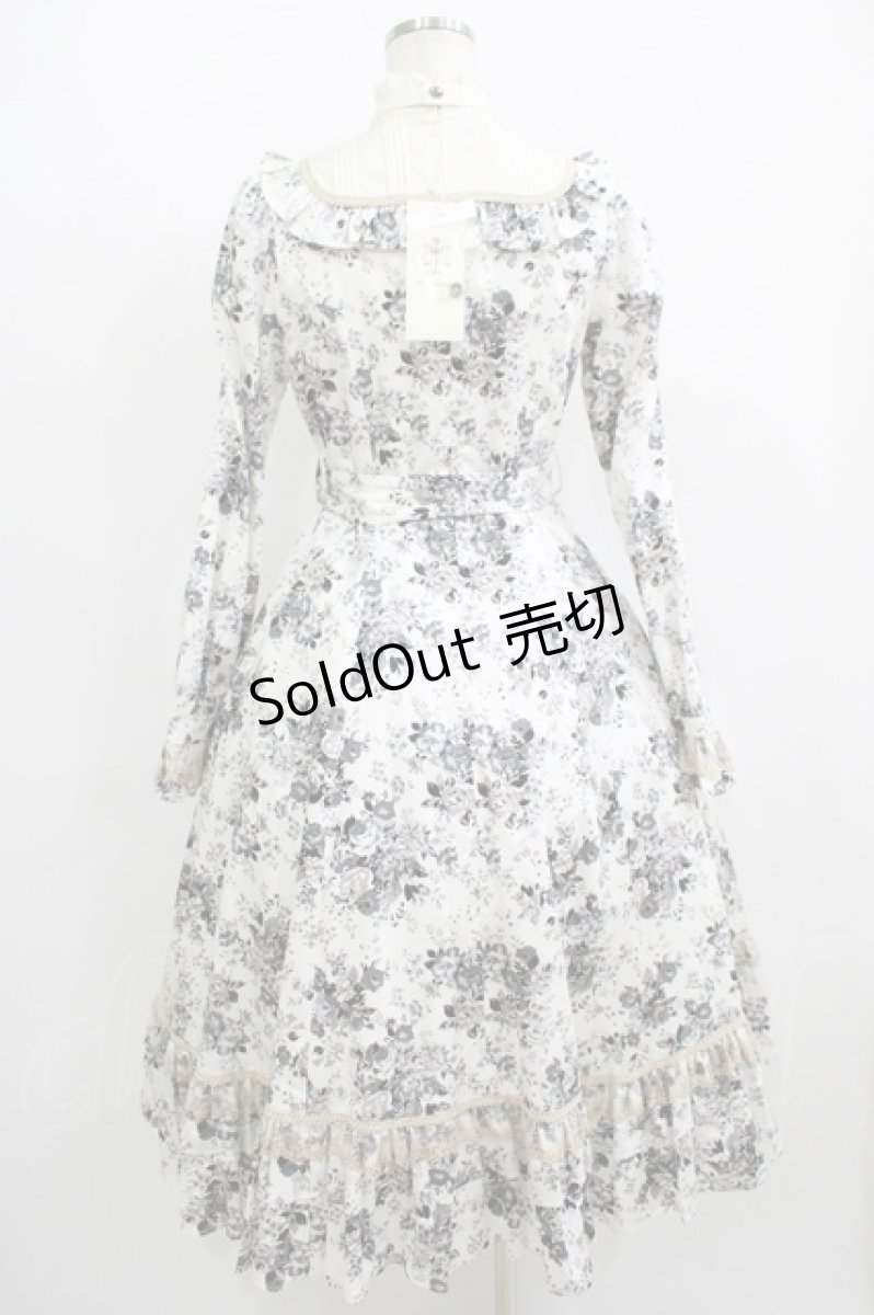 画像3: Victorian maiden / アンティークロココブーケクラシカルドールロングドレス Free モノトーン H-25-06-06-012-CL-OP-NS-ZH (3)