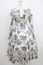 画像3: Victorian maiden / アンティークロココブーケクラシカルドールロングドレス Free モノトーン H-25-06-06-012-CL-OP-NS-ZH (3)
