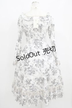 画像3: Victorian maiden / アンティークロココブーケクラシカルドールロングドレス Free モノトーン H-25-06-06-012-CL-OP-NS-ZH