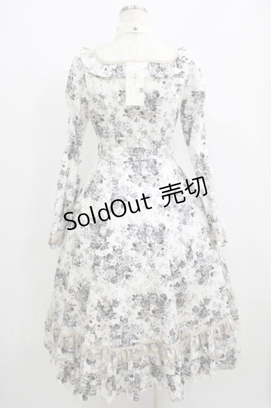 画像3: Victorian maiden / アンティークロココブーケクラシカルドールロングドレス Free モノトーン H-25-06-06-012-CL-OP-NS-ZH (3)