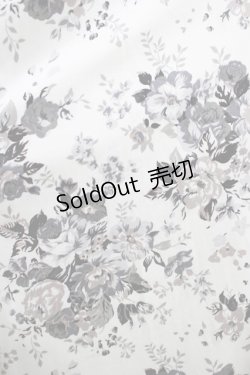 画像4: Victorian maiden / アンティークロココブーケクラシカルドールロングドレス Free モノトーン H-25-06-06-012-CL-OP-NS-ZH