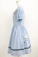 画像2: Jane Marple / Rose Bouquetデコパージュワンピース  ブルーグレイ H-25-06-07-014-JM-OP-KB-ZH (2)