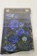 画像1: Enchantlic Enchantilly / 薔薇姫の王冠タイツ  ブラック/ブルー H-25-06-14-1014-LO-ZA-NS-ZH (1)