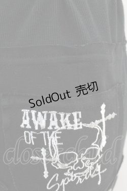 画像3: GHOST of HARLEM / 切替マキシスカート  黒 H-25-06-16-1009-GL-SK-KB-ZH