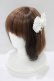 画像1: Angelic Pretty / Etudeリボンバレッタ  オフ H-25-06-16-067-AP-AC-NS-ZH (1)