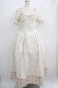 LACEMADE / 「初夏のローズガーデン」コルセットドレス L オフ H-25-06-20-008-GO-OP-NS-ZH