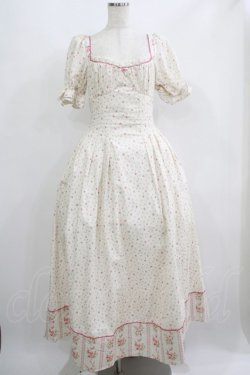 画像1: LACEMADE / 「初夏のローズガーデン」コルセットドレス L オフ H-25-06-20-008-GO-OP-NS-ZH